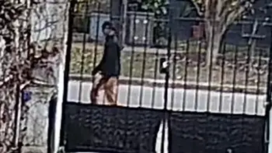 Intentaron robarle el celular en la “cuadra del terror” de Tolosa y ahora sale con un machete por miedo