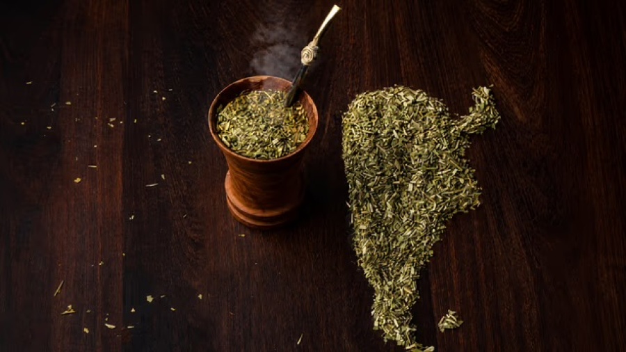 Arrancó el Mundial de la Yerba Mate: Misiones busca coronarse con 12 marcas en competencia