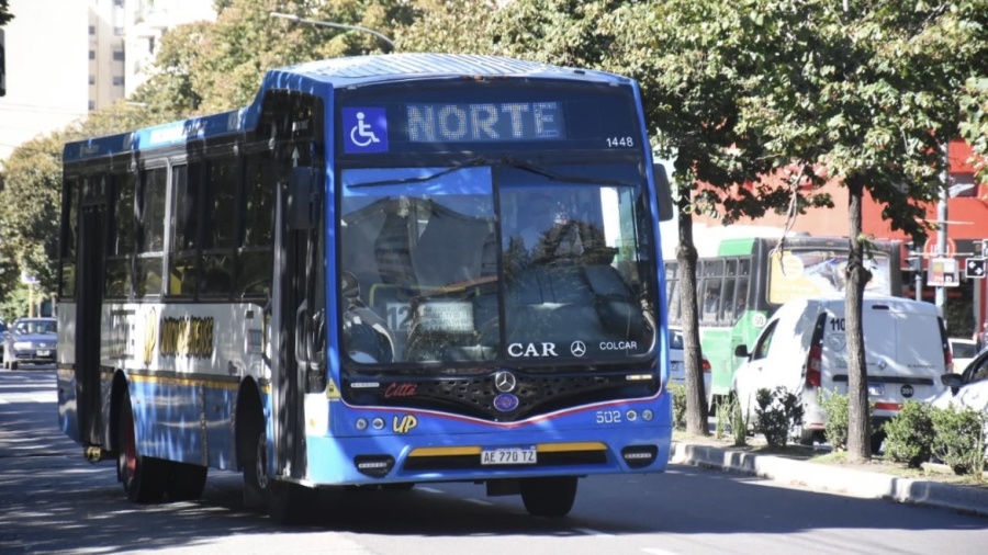 Las personas con discapacidad podrán viajar gratis en tren y colectivo sin presentar el certificado