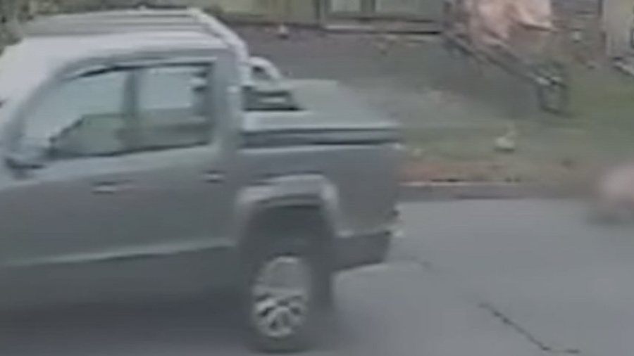 Atropelló a un hombre en La Plata, escapó y ahora quedó imputado: la víctima sigue en estado crítico