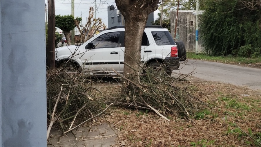 “No tenemos más lugar”: el reclamo de vecinos de La Plata que esperan el retiro de ramas