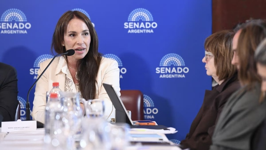 Escándalo en el Senado: Marijuan pide saber si Milei retiró el pliego de la platense Michelli por discriminación