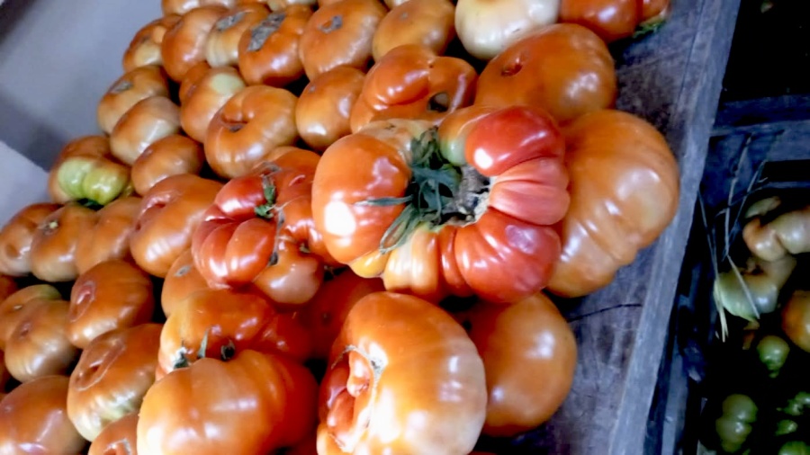 La canasta de La Plata volvió a subir en mayo y el tomate lideró los aumentos