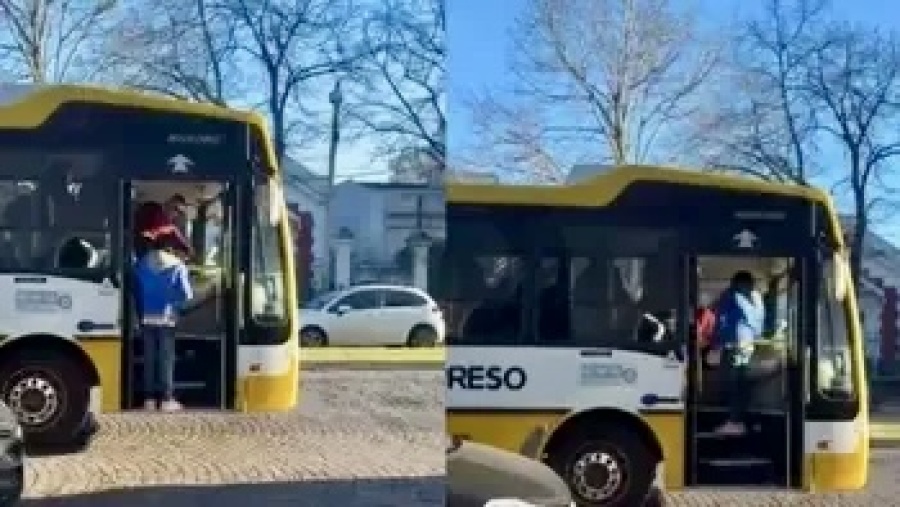Furia en un micro de La Plata: un colectivero golpeó a un docente y le destruyó el celular tras una discusión por el boleto