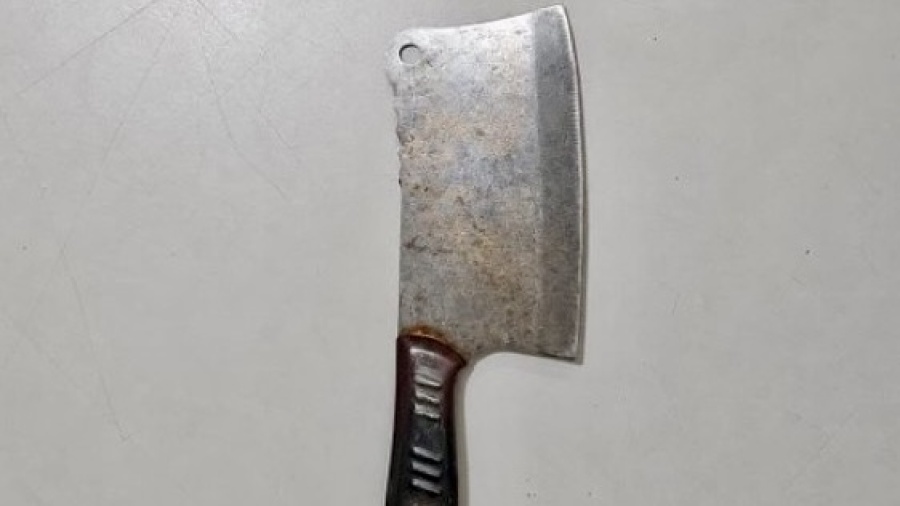 Amenazó a su ex con un cuchillo carnicero y terminó detenida en La Plata