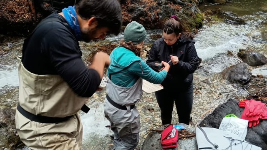 Tras el devastador incendio en la Patagonia, el CONICET hizo un hallazgo sobre el agua que preocupa