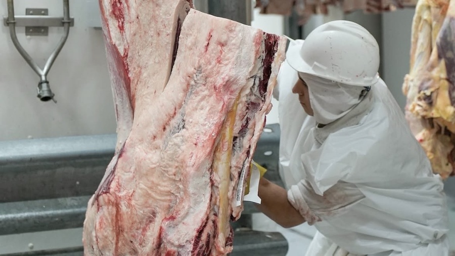 El Gobierno busca cambiar el financiamiento del Instituto de Promoción de la Carne Vacuna y el campo lo rechazó