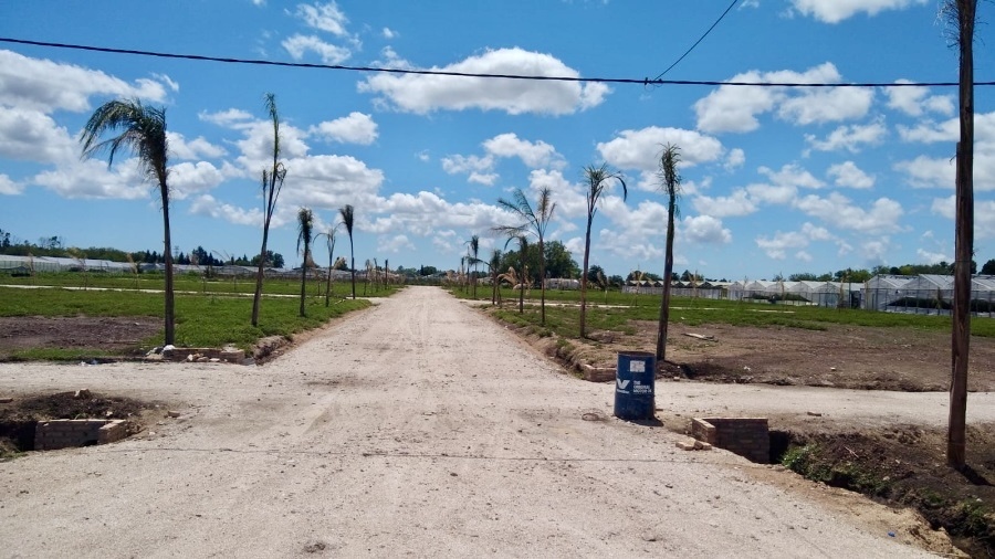 La Justicia avanzó sobre 10 loteos presuntamente ilegales en La Plata y ordenó paralizar las obras