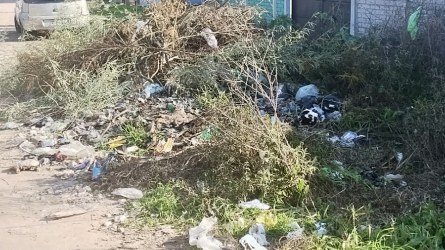 Basural a cielo abierto en una localidad de La Plata: denuncian ratas y una zanja tapada por la basura