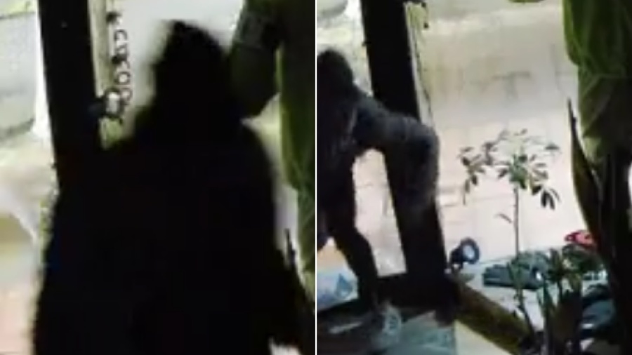 Entraron a robar a un local de City Bell y la investigación tuvo un giro semanas después