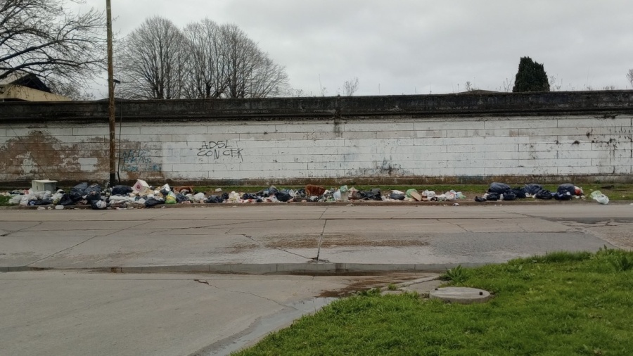 Basura acumulada frente al Cementerio de La Plata: vecinos apuntaron contra la falta de limpieza