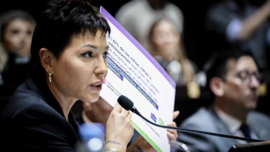 Mayra Mendoza celebró la media sanción de la Ley Ema para prevenir la violencia digital en las escuelas bonaerenses