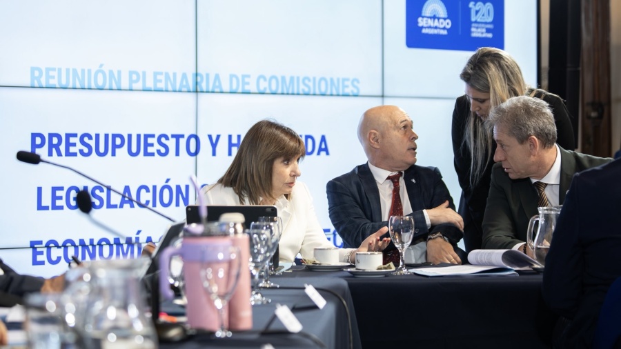 El Gobierno no tiene los votos para eliminar las PASO y el Senado reactiva la reforma electoral