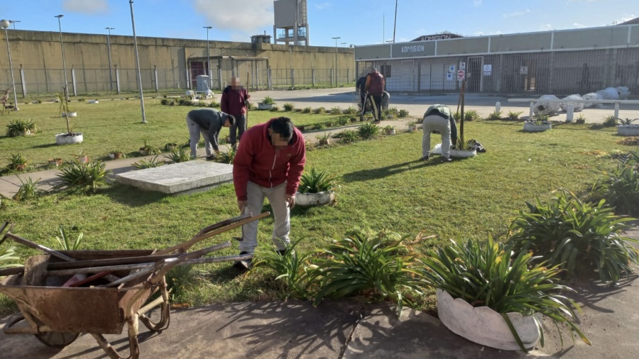 Una cárcel de La Plata transformó su parque con esculturas hechas por agentes y presos con ramas, hierro y repuestos