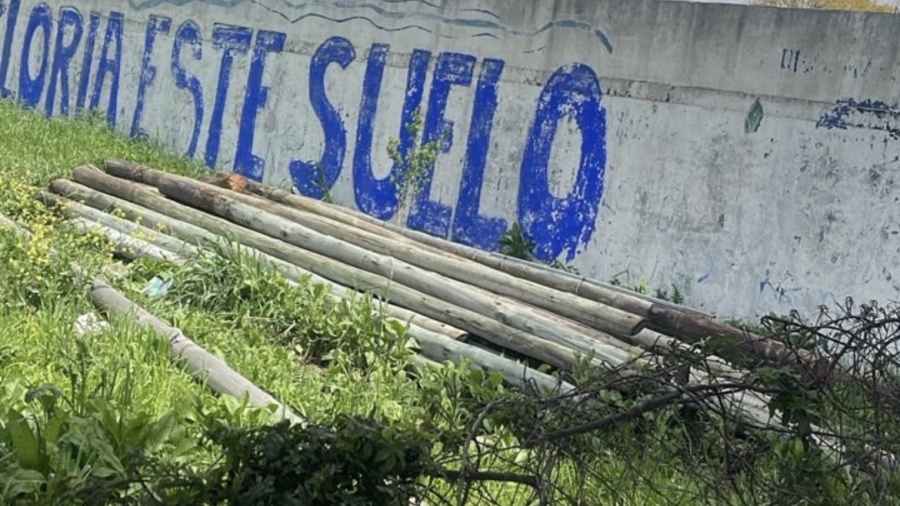 Dos hombres fueron detenidos acusados de intentar robar palos de un comercio en La Plata
