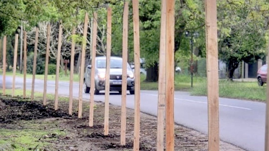 La Municipalidad cerr&oacute; parte del Parque Boveri en City Bell y no permitir&aacute; que vuelva a funcionar la feria americana