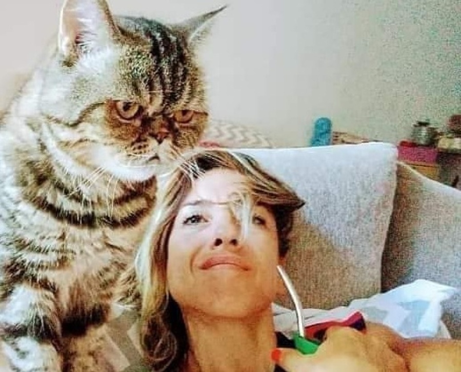 Busca hace meses a su gata Peppa en La Plata pero en el dolor decidió ayudar a otros animales