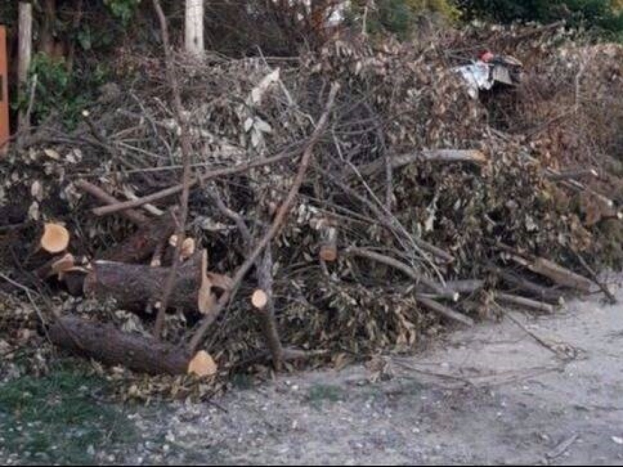En 418 entre 26 y 27 los vecinos denuncian montículos de ramas acumuladas desde hace cuatro meses