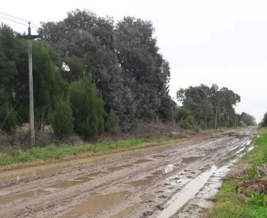 Vecinos de El Rodeo denuncian el deplorable estado de las calles