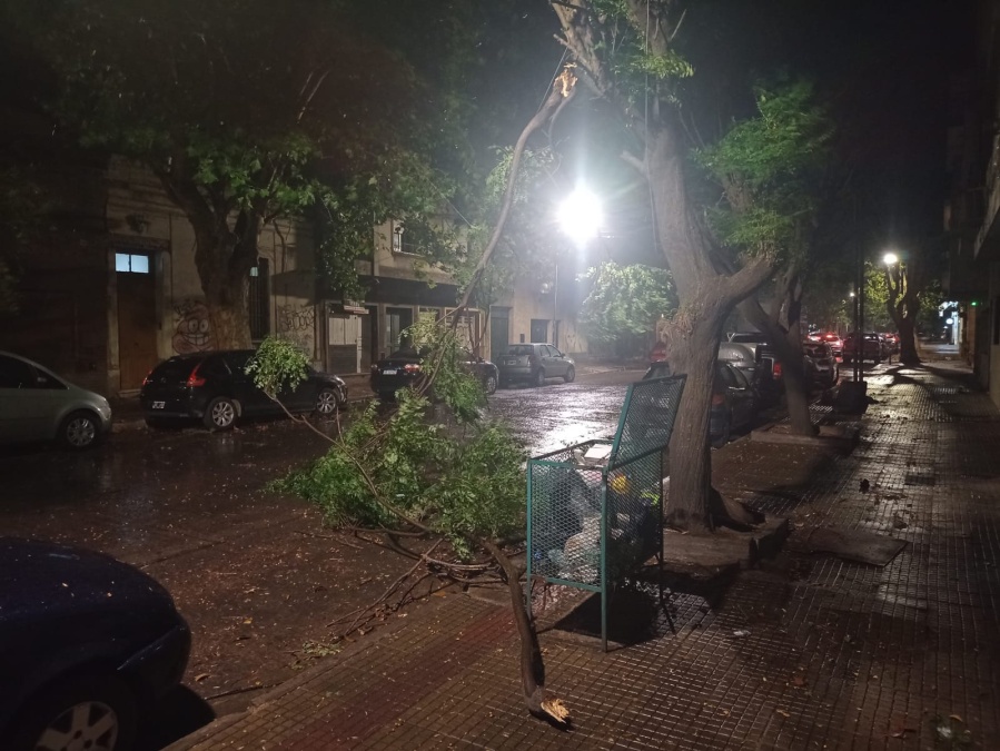Se cayó parte de un árbol en 2 y 60 producto de la tormenta
