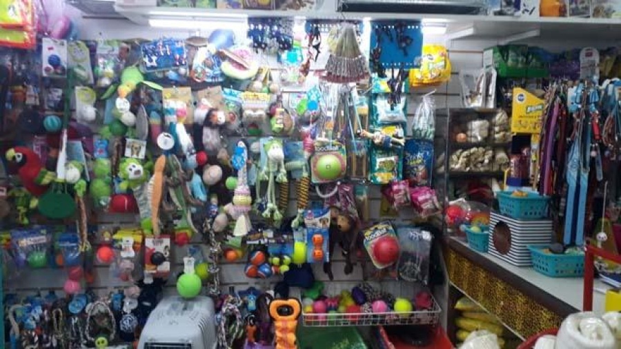 Un comerciante apuntó con un arma a una inspectora en La Plata