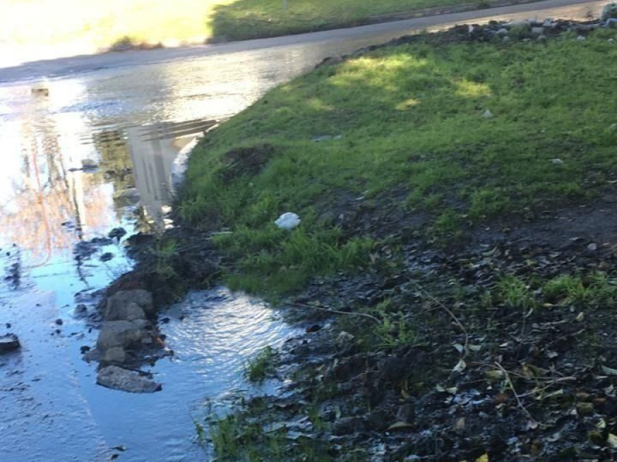 En 47 y 137 denuncian que hace seis meses reclaman por una pérdida de agua que inunda la calle