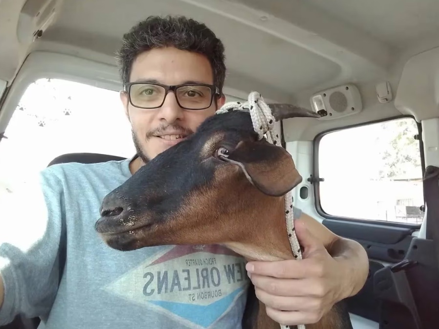 Pagó 35 mil pesos por una cabra para evitar que se la comieran y su historia se hizo viral: ”Tengo que salvarte”