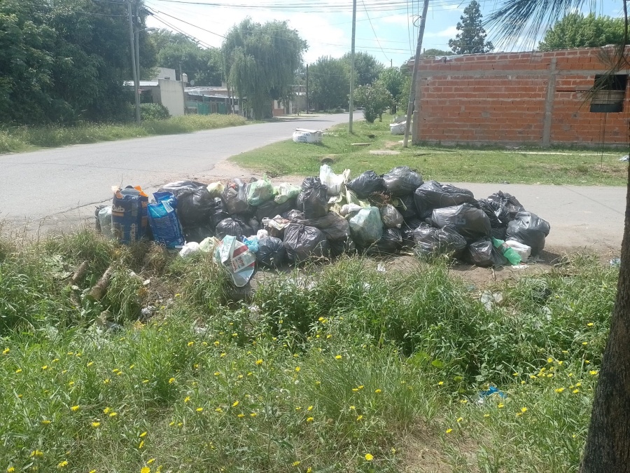 En 153 y 56, reclamaron por un importante basural a cielo abierto: “Es un foco infeccioso”