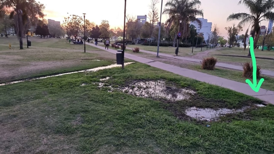 Vecinos del Parque Alberti piden que se repare la perdida de agua