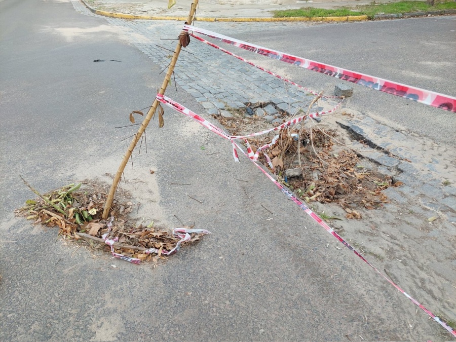 En 115 y 35 reclaman por dos “enormes pozos” en el medio de la calle