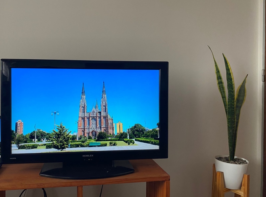 Una joven veía la televisión, aparecieron imágenes de La Plata y soltó un chiste que se hizo viral: ”¿Qué hace mi amiga ahí?”