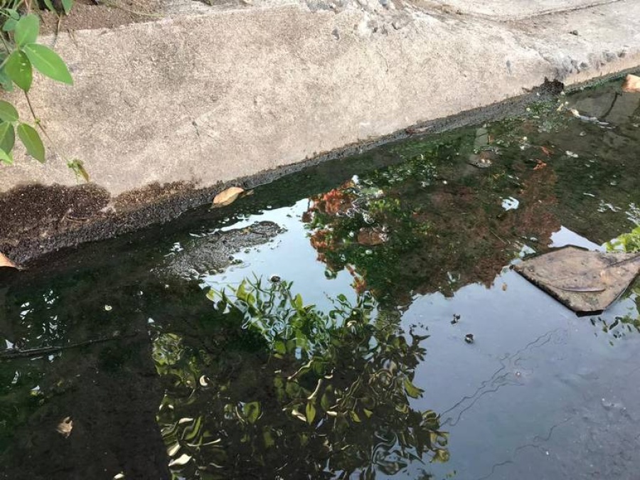 Reclamo sobre el desborde de zanjas con agua podrida en el Barrio Aeropuerto