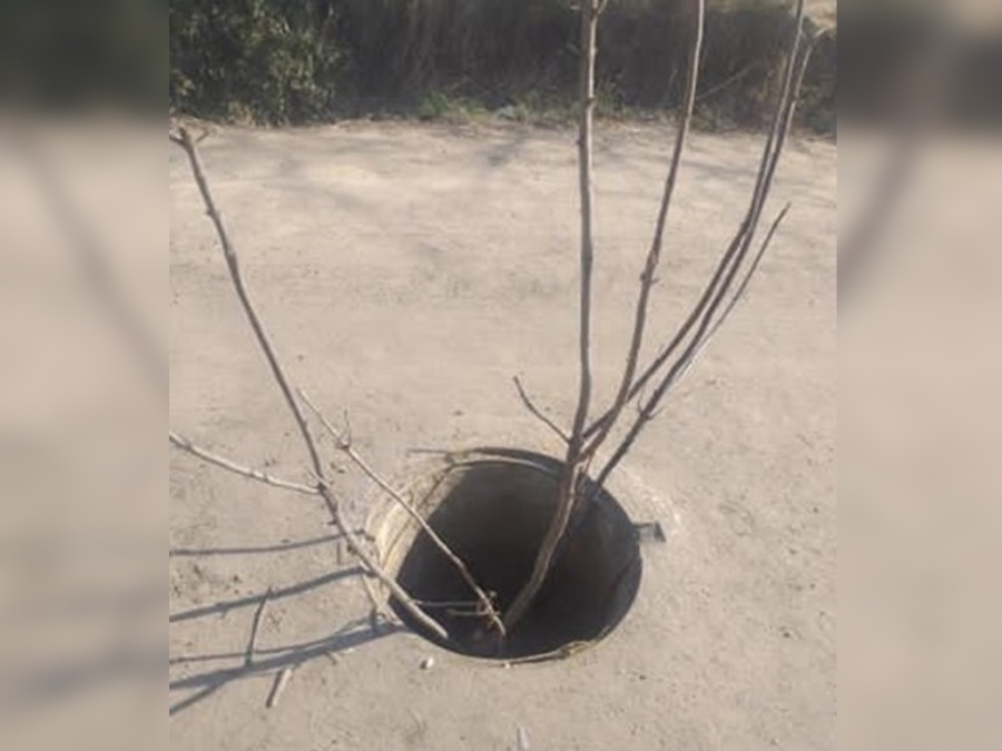 Un nene de 8 años tropezó con una alcantarilla sin tapa y una rama le perforó varios órganos en Santa Fe