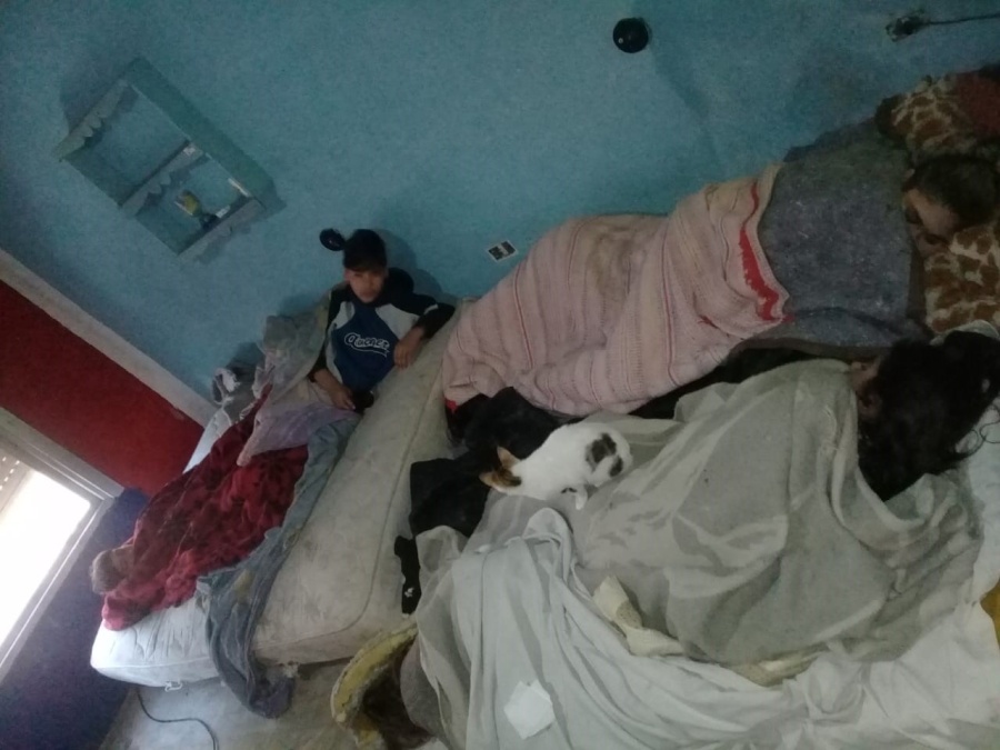 Sufrían violencia familiar en La Plata, los sacaron de su casa y ahora necesitan una cama digna: “Ni un perro duerme así”