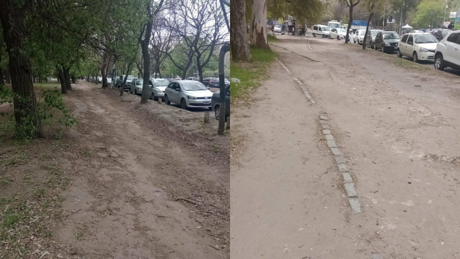 “Sería muy útil”: un vecino pidió que hagan una bicisenda en la zona de 60 y 115