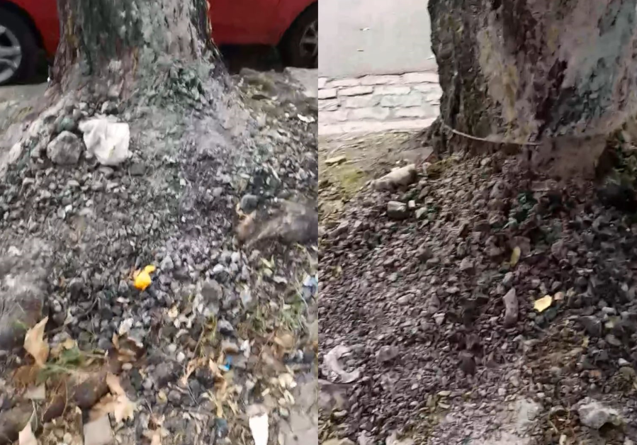 En diagonal 80 y 115 se quejan de que “tiran las brasas en cualquier lado”
