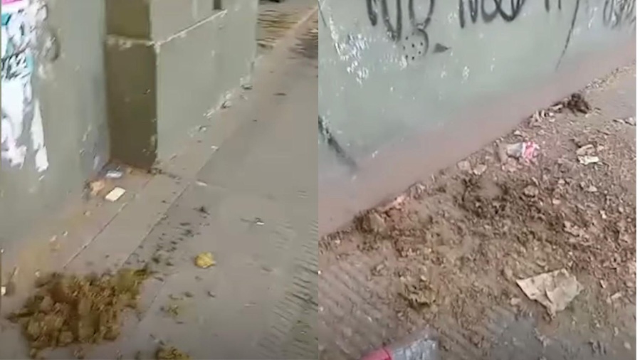 Alumnos del Albert Thomas repudiaron la gran presencia de bosta de caballo en las inmediaciones de la escuela