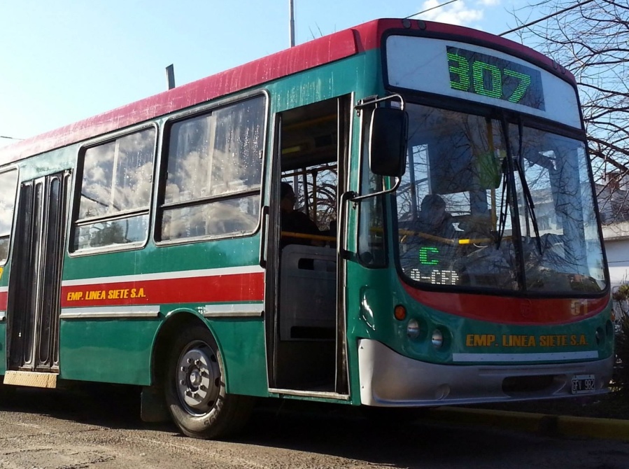 Viajaba en el micro 307, un rapado la engañó y se llevó sus tarjetas de crédito: ”Cuando bajé, me di cuenta que era él”