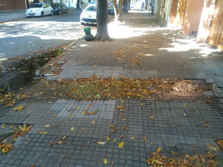 Vecinos reclaman por pérdida y falta de agua sobre 17 entre 46 y 47: ”Hay algunos arreglos que nunca se han terminado”