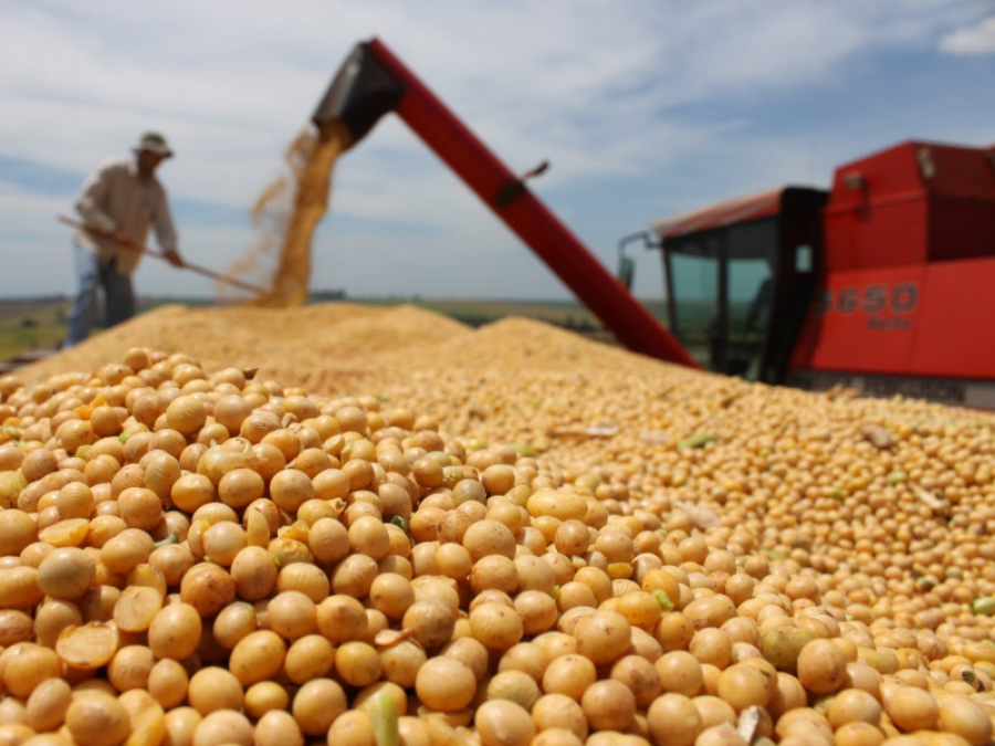 El gobierno eliminó el Fondo Federal Solidario y ahorrará 65.000 millones de pesos