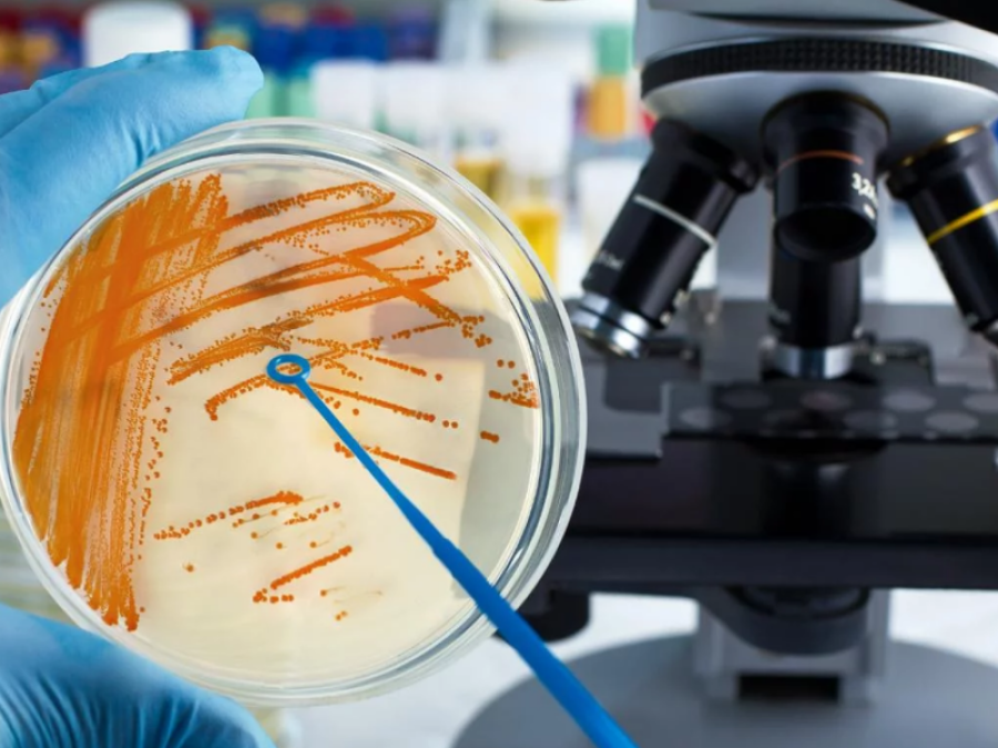 Murió en Pergamino otra persona por la bacteria estreptococo