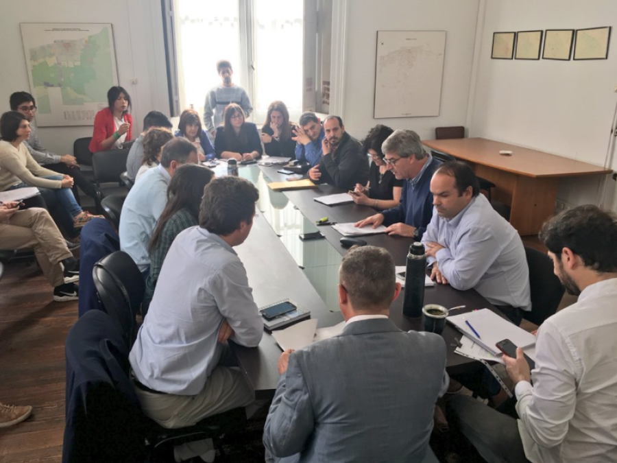 Arrancó el debate por el adoquinado en La Plata: ”No hay que fanatizarse”