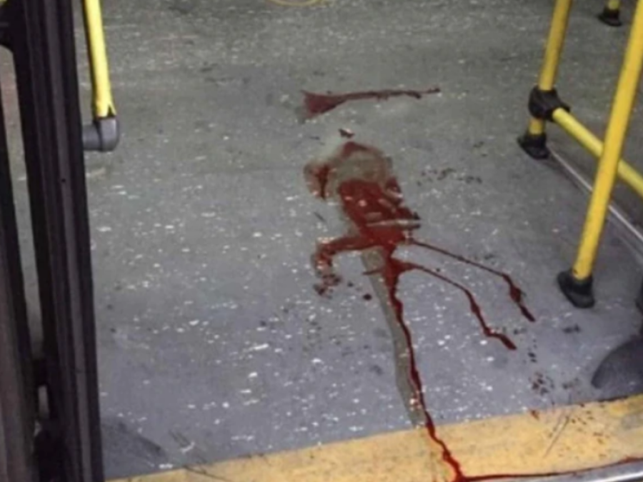 Apuñalaron a un chofer porque se resistió a entregar su bolso