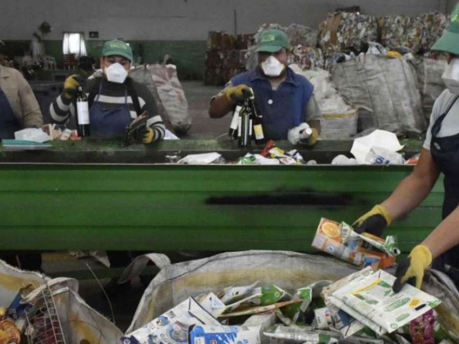 Las grandes empresas de La Plata deberán contratar un servicio privado de recolección