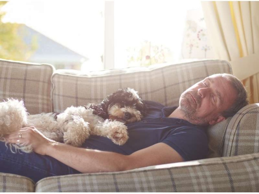 ¿A qué hora se debe dormir la siesta?