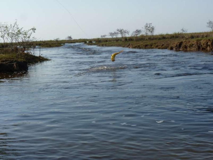 Hallaron un cadáver en el Río Paraná