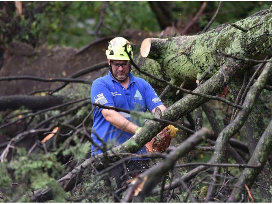 Múltiples cuadrillas de la Municipalidad de La Plata trabajan para reparar daños de la tormenta