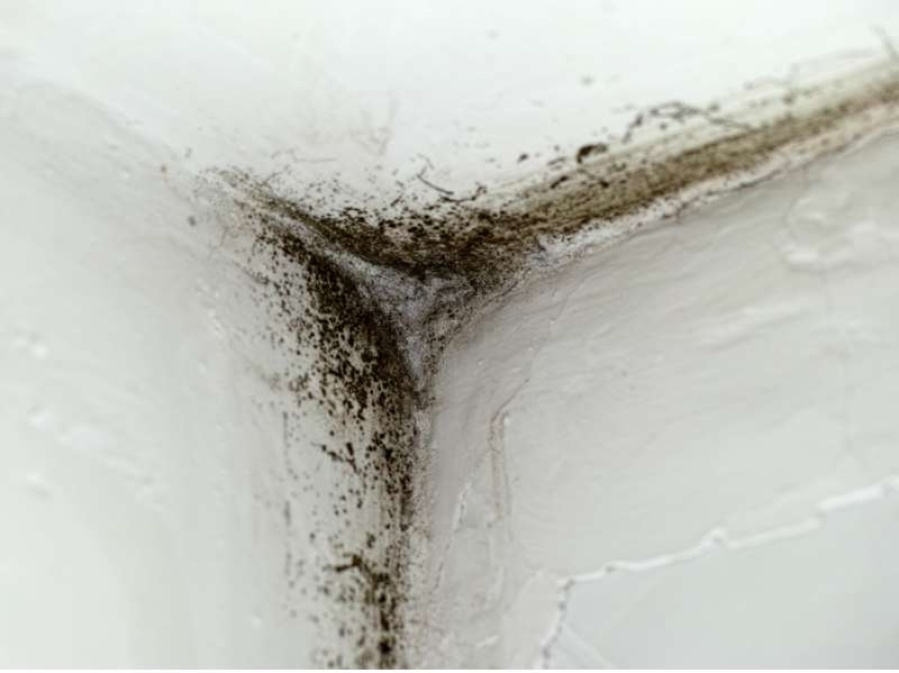 Trucos caseros para eliminar el ”olor a humedad”