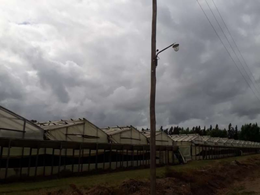 Se robaron 300 metros de tendido eléctrico, y una zona de Los Hornos quedó a oscuras