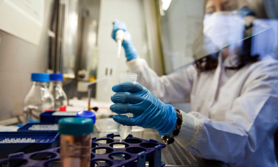 La Anmat autorizó el suero equino para el tratamiento de pacientes con coronavirus